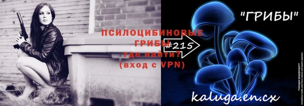 ПСИЛОЦИБИНОВЫЕ ГРИБЫ Гусев