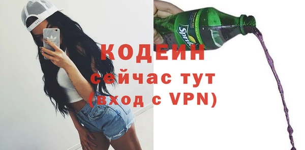 ПСИЛОЦИБИНОВЫЕ ГРИБЫ Гусев