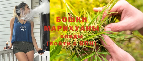 твердый Дмитриев