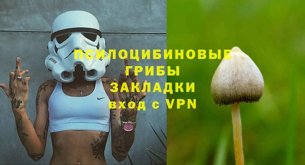 соль ск Дмитровск