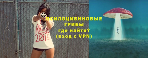 ГАЛЛЮЦИНОГЕННЫЕ ГРИБЫ Елизово