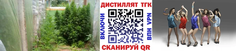 Дистиллят ТГК THC oil  Купить где  Кубинка 